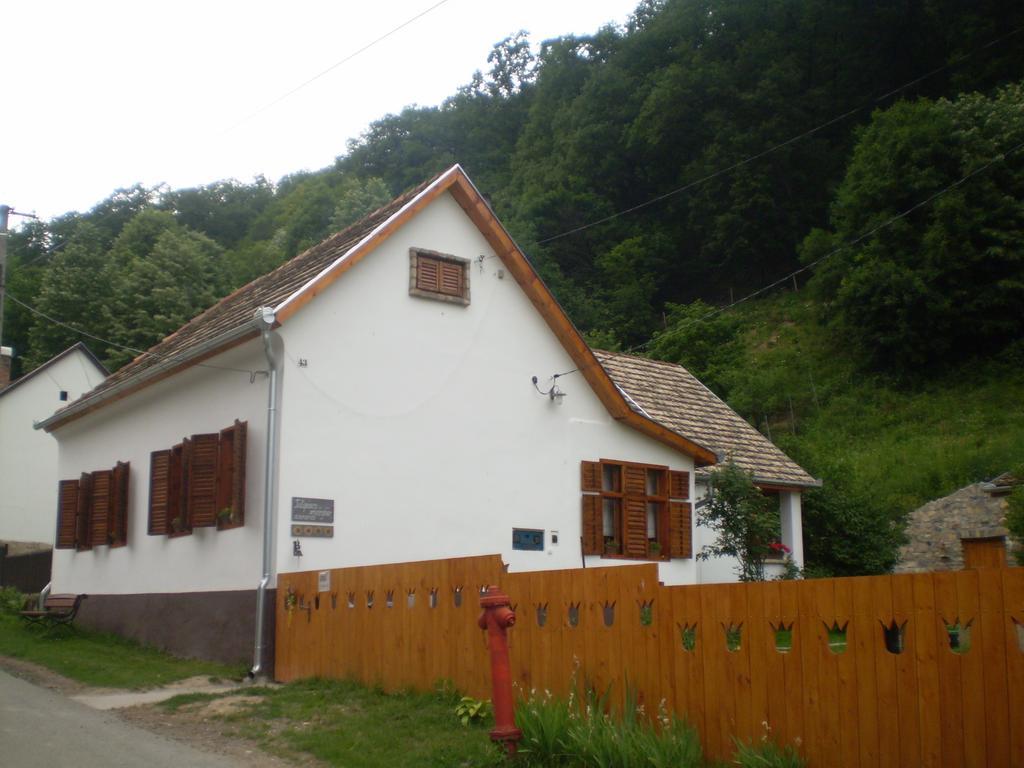 Tulipános Vendégház Obanya Kültér fotó
