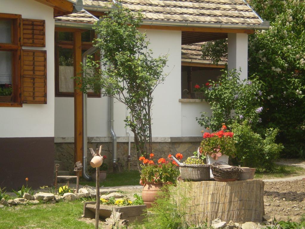 Tulipános Vendégház Obanya Kültér fotó