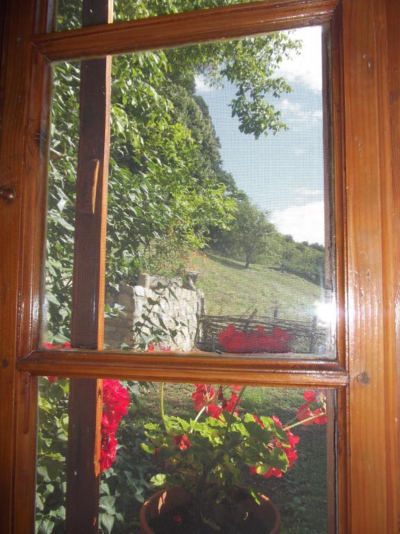 Tulipános Vendégház Obanya Kültér fotó