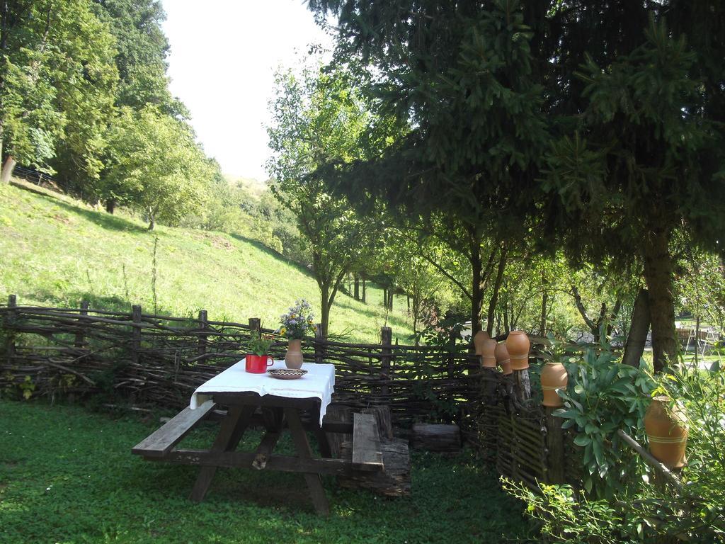 Tulipános Vendégház Obanya Kültér fotó