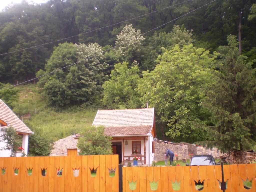 Tulipános Vendégház Obanya Kültér fotó