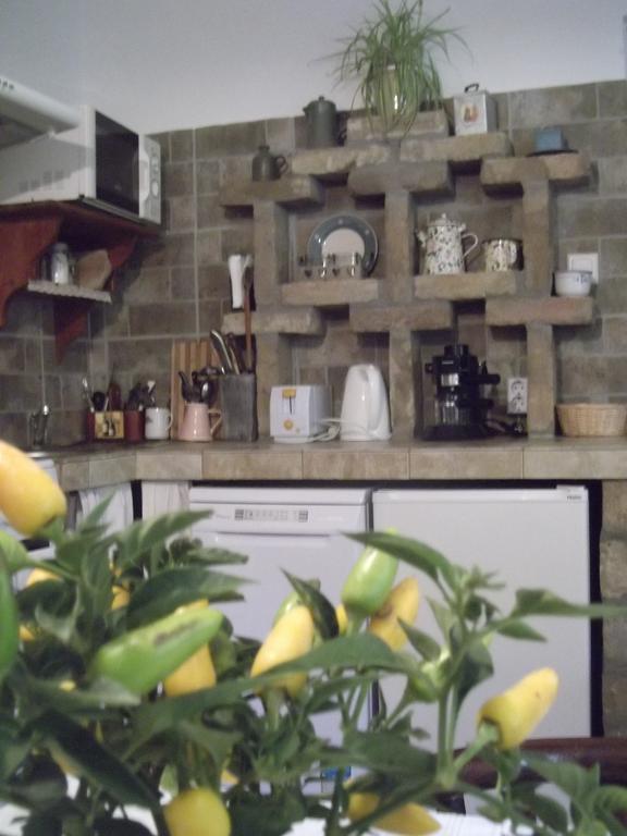 Tulipános Vendégház Obanya Kültér fotó